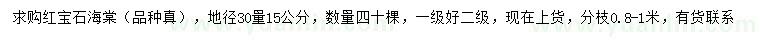 求购30量15公分红宝石海棠