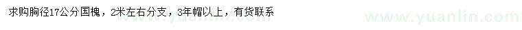 求购胸径17公分国槐