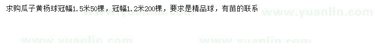 求购冠幅1.2、1.5米瓜子黄杨球