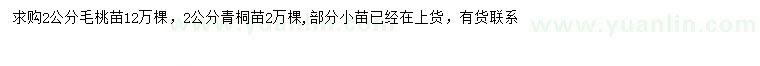 求购2公分毛桃小苗、青桐小苗