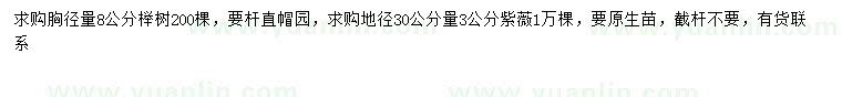 求购胸径8公分榉树、30量3公分紫薇