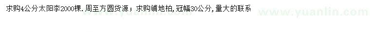 求购4公分太阳李、冠幅30公分铺地柏