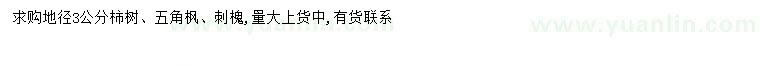 求购柿子树、五角枫、刺槐