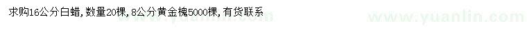 求购8公分黄金槐、16公分白蜡