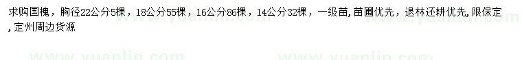 求购胸径14、16、18、22公分国槐