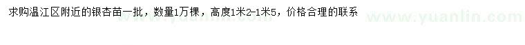 求购高1.2-1.5米银杏