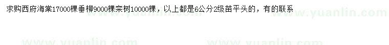 求购西府海棠、垂柳、栾树