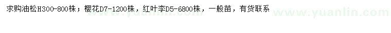 求购油松、樱花、红叶李