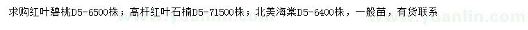 求购红叶碧桃、高杆红叶石楠、北美海棠