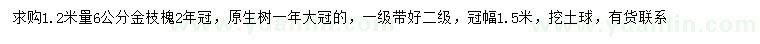 求购1.2米量6公分金枝槐