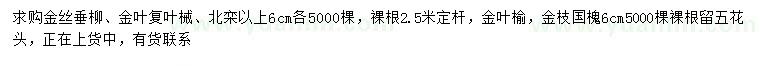 求购金丝垂柳、金叶复叶槭、北栾等