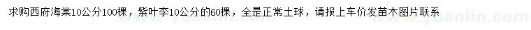 求购10公分西府海棠、紫叶李