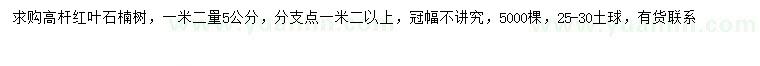 求购1.2量5公分高杆红叶石楠