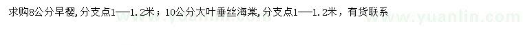 求购8公分早樱、10公分大叶垂丝海棠