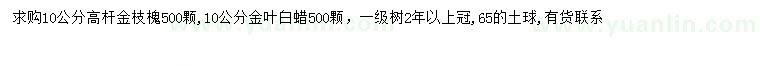 求购10公分高杆金枝槐、金叶白蜡