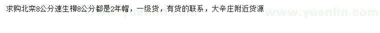 求购8公分北栾、速生柳