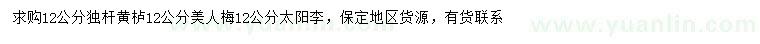 求购黄栌、美人梅、太阳李