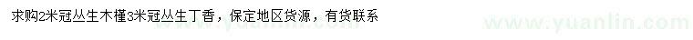 求购冠幅2米丛生木槿、冠幅3米丛生丁香