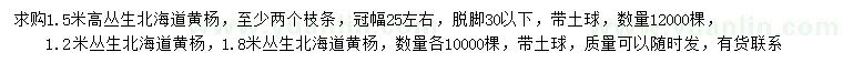 求购1.2、1.5、1.8米丛生北海道黄杨