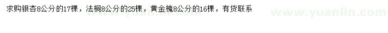 求购银杏、法桐、黄金槐