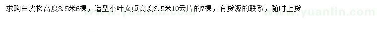 求购高3.5米白皮松、造型小叶女贞
