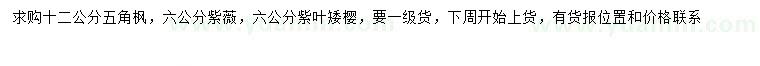 求购五角枫、紫薇、紫叶矮樱