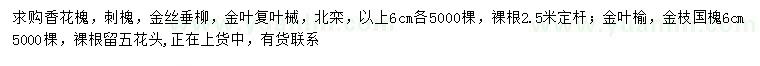 求购香花槐、刺槐、金丝垂柳等