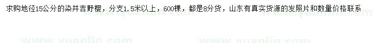 求购地径15公分染井吉野樱