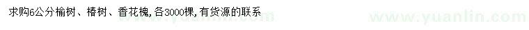 求购榆树、椿树、香花槐