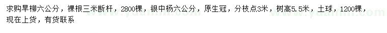 求购6公分旱柳、银中杨