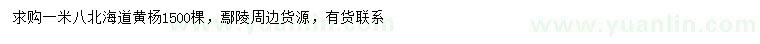 求购1.8米北海道黄杨