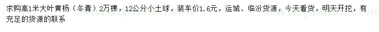求购高1米大叶黄杨、冬青
