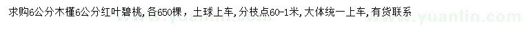 求购6公分木槿、红叶碧桃