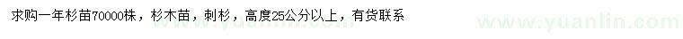 求购高25公分以上杉木、刺杉