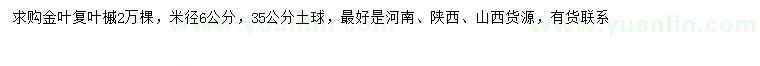 求购米径6公分金叶复叶槭