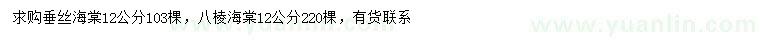 求购12公分垂丝海棠、八棱海棠