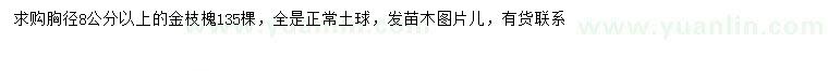 求购胸径8公分以上金枝槐