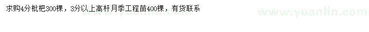 求购4公分枇杷、3公分以上高杆月季