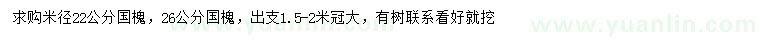 求购米径22、26公分国槐