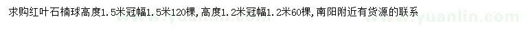 求购冠幅1.2、1.5米红叶石楠球