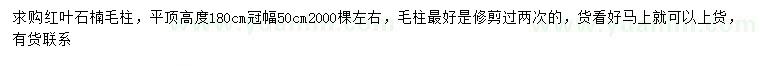 求购冠幅50公分红叶石楠柱