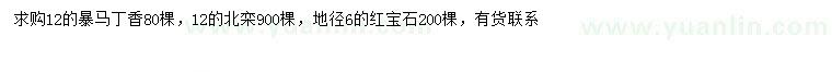 求购暴马丁香、北栾、红宝石