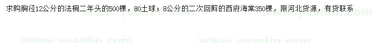 求购胸径12公分法桐、8公分西府海棠