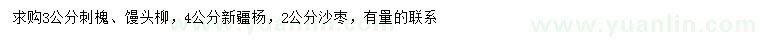 求购刺槐、馒头柳、新疆杨等