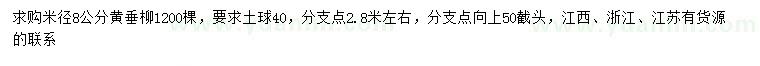 求购米径8公分黄垂柳