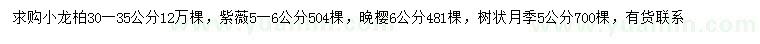 求购小龙柏、紫薇、晚樱等