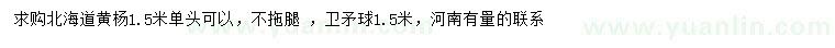 求购1.5米北海道黄杨、卫矛球