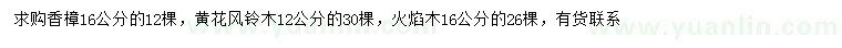 求购香樟、黄花风铃木、火焰木