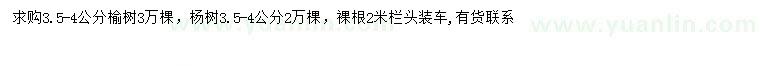 求购3.5-4公分榆树、杨树