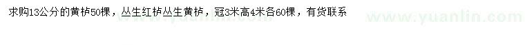 求购黄栌、丛生红栌、丛生黄栌